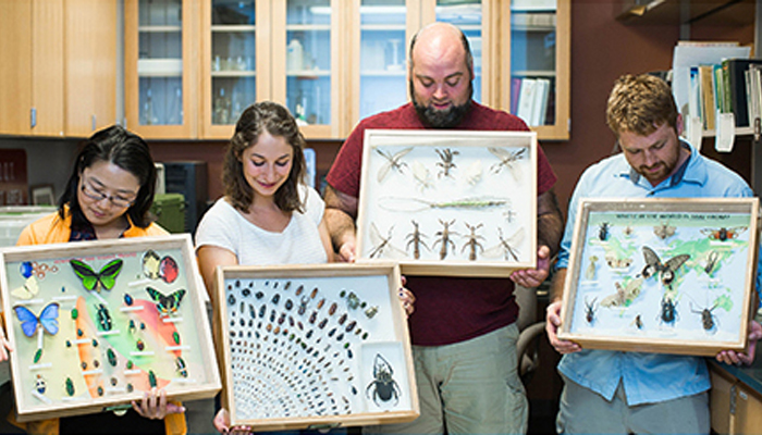 Dr. Grant's graduate students hold up their insect collection displays