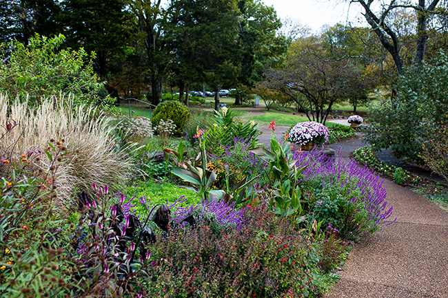 The paved trail in the UT Gardens, right next to an array of colorful flowers