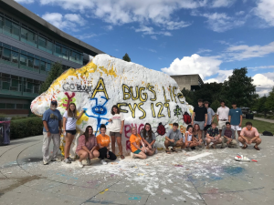FYS129 students in front of the painted rock