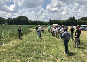 people standing in the field at the Tobacco, Beef, & More Field Day