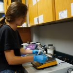 scholar using lab equipment
