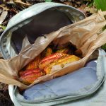 collected Theobroma cacao in a bag