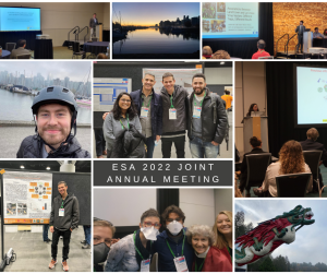 collage of 2022 Entomological Society of America participants posing for photos, one photo of the city, and one photo of a dragon boat