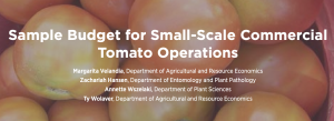 Photo of tomatoes with text. Sample Budget for Small-Scale Commercial Tomato Operations Margarita Velandia, Department of Agricultural and Resource Economics Zachariah Hansen, Department of Entomology and Plant Pathology Annette Wszelaki, Department of Plant Sciences Ty Wolaver, Department of Agricultural and Resource Economics