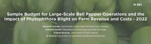 Photo of tomatoes with text. Sample Budget for Large-Scale Commercial Bell Pepper Operations. Margarita Velandia, Department of Agricultural and Resource Economics Zachariah Hansen, Department of Entomology and Plant Pathology Annette Wszelaki, Department of Plant Sciences Ty Wolaver, Department of Agricultural and Resource Economics