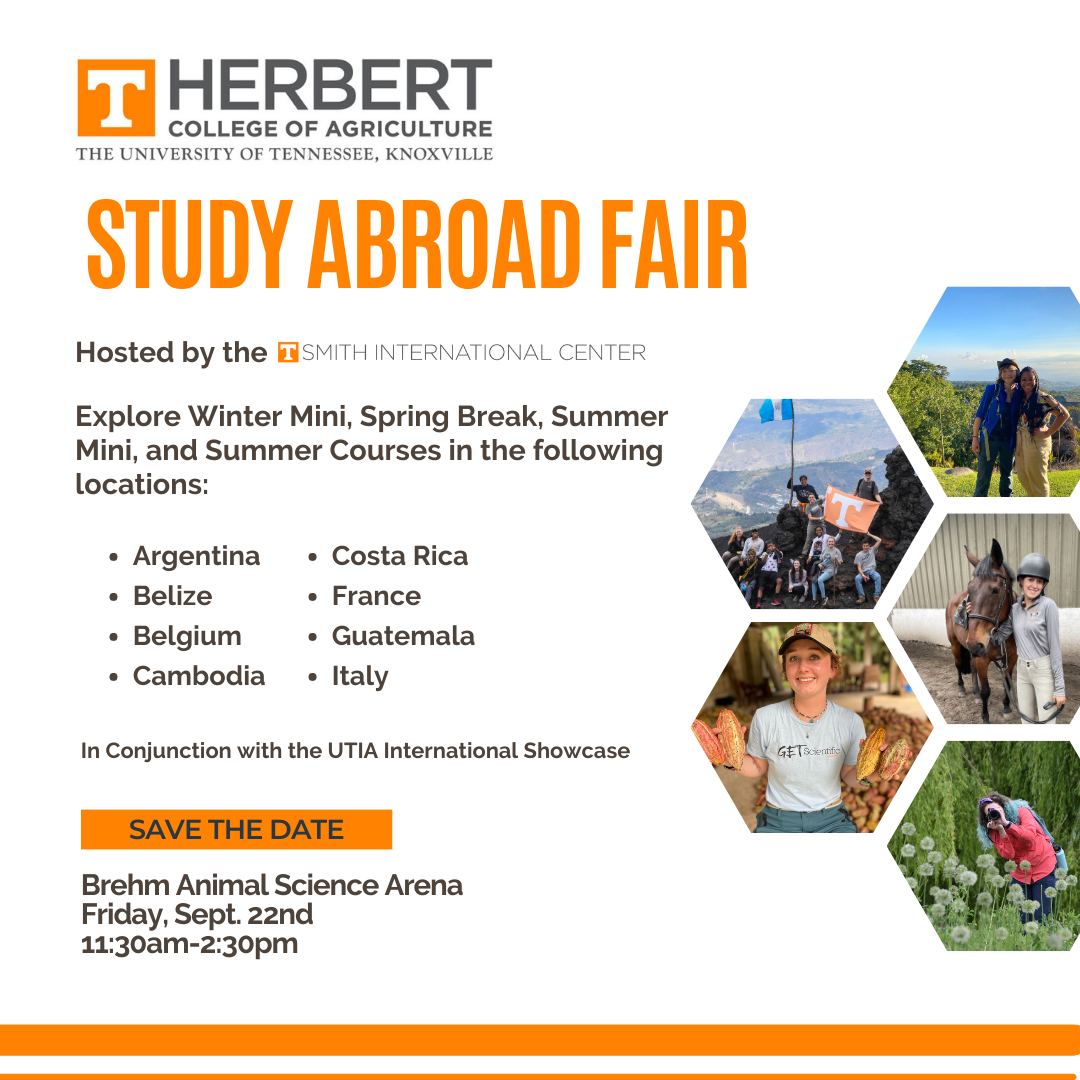 Herbert Study Aboard Fair Flyer