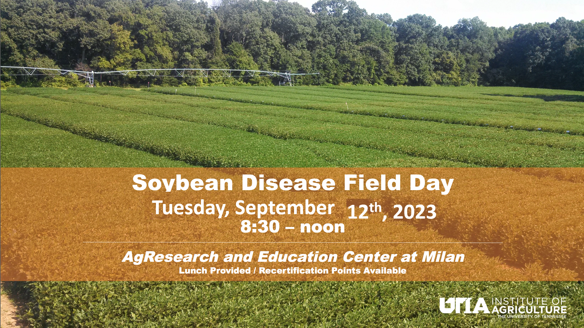 Soybean Disease Field Day Flyer. Soybean plots.