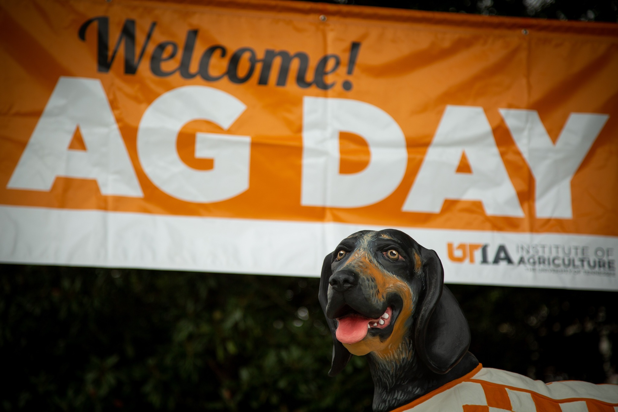 Smoky with banner in background. Welcome! Ag Day.